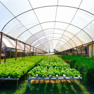 Sustainable Agriculture Program